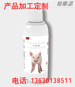 仔猪乐